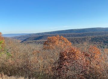 pennsylvania/bald-eagle-state-park/attraction/bald-eagle-state-forest