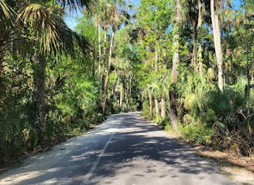 florida/nature-coast/attraction/highlands-hammock-state-park