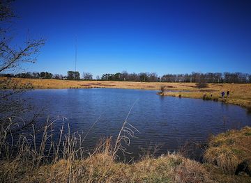Shelby Farms Park