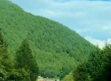 uganda/ssese-islands/attraction/jungle-wing-quadrangle