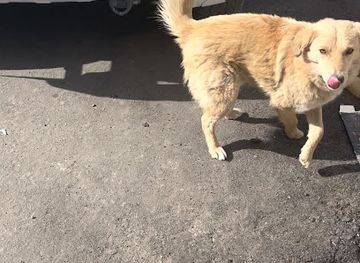 india/leh-ladakh/attraction/skara-spang