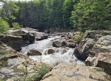 argentina/tierra-del-fuego-national-park/attraction/cascada-del-rio-pipo