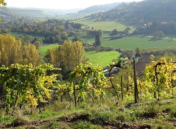 germany/hunsruck/attraction/disibodenberg