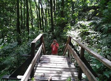 saint-vincent-and-the-grenadines/bequia/attraction/vermont-nature-trail-and-rain-forest