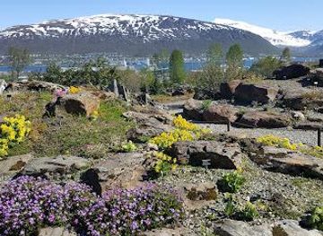 norway/tromso/attraction/arctic-alpine-botanic-garden