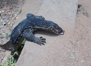sri-lanka/polonnaruwa-district/attraction/kabara-bokkuwa