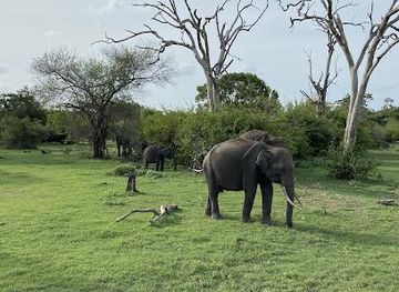 sri-lanka/sigiriya/attraction/tharaka-jeep-safari-village-safari-habarana