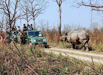 nepal/chitwan/bharatpur/attraction/the-chitwan-jungle-guides-crazy-tiger-s-trek-tours