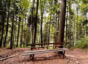 romania/ceahlau-national-park/attraction/la-bancute