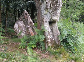 france/pays-de-la-loire/attraction/menhir-de-la-pierre-du-coq