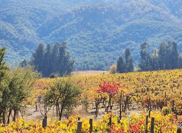 chile/colchagua-valley/attraction/vina-neyen-de-apalta