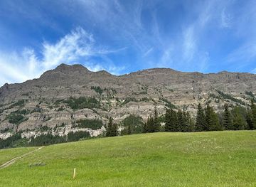 montana/gallatin-national-forest/attraction/yellowstone-wolftracker