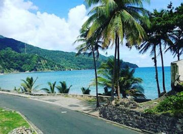 dominica/indian-river/attraction/douglas-bay-beach-park