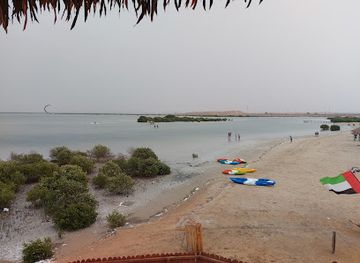 united-arab-emirates/northern-emirates/attraction/the-mangrove-beach