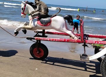 egypt/damietta/attraction/ras-albar-2023