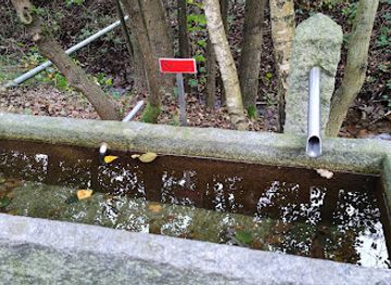 germany/upper-palatinate/attraction/natural-water-bath