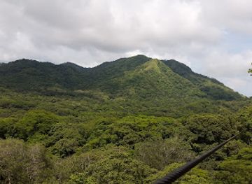 costa-rica/southern-zone/attraction/monkey-jungle-zip-line-canopy-tour