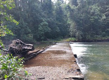 australia/mid-north-coast/attraction/wilson-river-picnic-area
