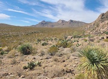 new-mexico/las-cruces/attraction/chihuahuan-desert-nature-park