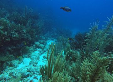 belize/ambergris-caye/attraction/paradise-canyons