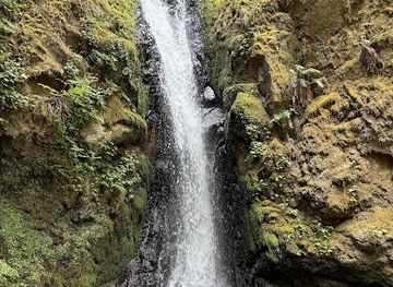 oregon/hood-river/attraction/starvation-creek-state-park