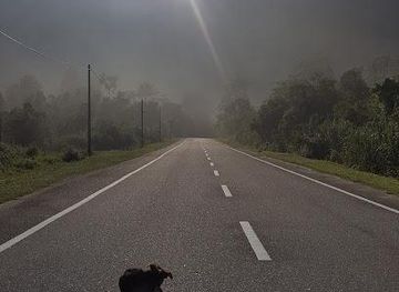 malaysia/cameron-highlands/attraction/jln-gua-tempurung