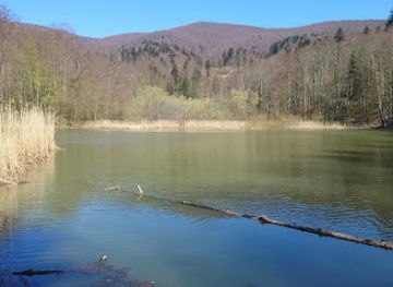 slovakia/poloniny-national-park/attraction/grofske-chyzky-pri-rybniku