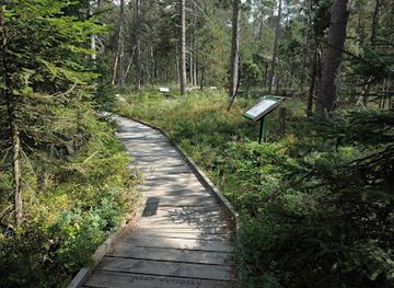 czechia/west-bohemia/attraction/podkovak-nature-reserve