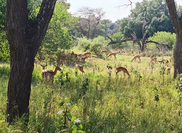 south-africa/bushveld/attraction/mapungubwe-national-park