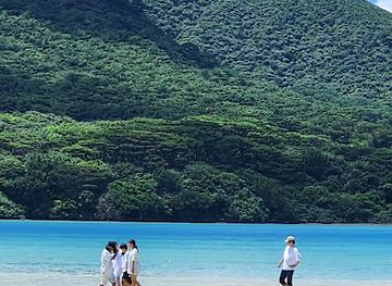 japan/ishigaki-island/attraction/Kawahiruwan-Mangrove