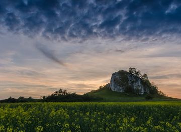poland/silesia/attraction/bzow-skala-rzedowa