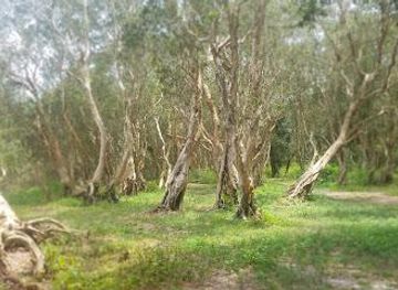 vietnam/vung-tau/attraction/ban-quan-ly-khu-bao-ton-thien-nhien-binh-chau-phuoc-buu