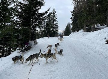 france/les-arcs/attraction/paradisled
