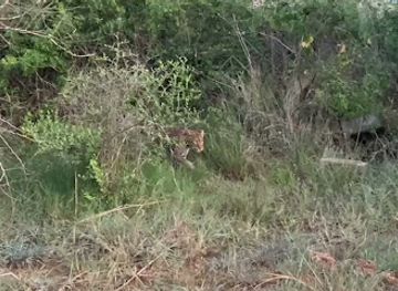 uganda/murchison-falls-national-park/attraction/ruinen-der-pakuba-lodge-von-idi-amin