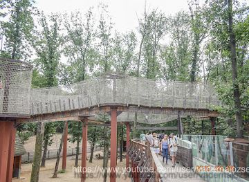 hungary/nyiregyhaza/attraction/tarzan-osvenye