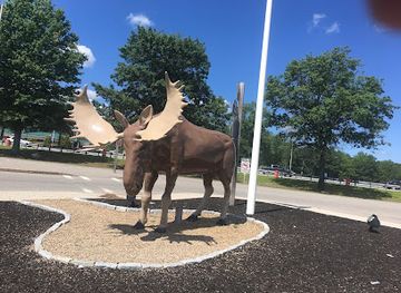 maine/biddeford/attraction/moose-statue