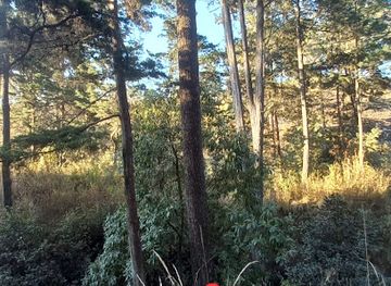 guatemala/quetzaltenango-xela/attraction/chon-rat