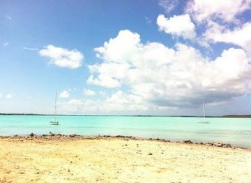 turks-and-caicos-islands/providenciales/attraction/taste-of-tci-food-tours