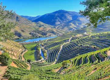 portugal/douro-valley/attraction/quinta-do-vesuvio