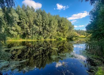 ukraine/synevyr-national-park/attraction/pyryatynskyi-national-park