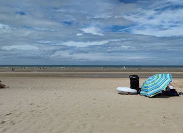 belgium/de-panne/attraction/nordseekuste-bei-westwind-und-sandsturm