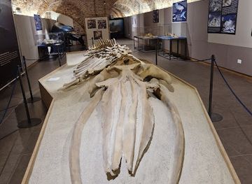 italy/monferrato/attraction/michelerio-palace