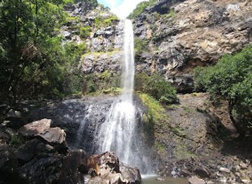 mauritius/chamarel/attraction/mare-aux-joncs-waterfall