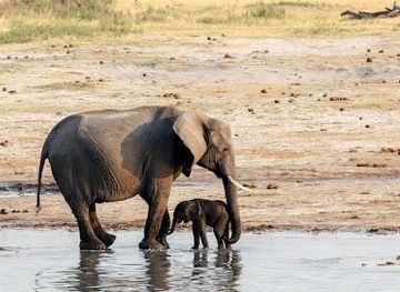 zambia/livingstone/attraction/clearwater-adventures