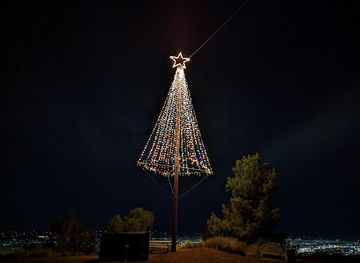 california/burbank/attraction/burbank-christmas-tree