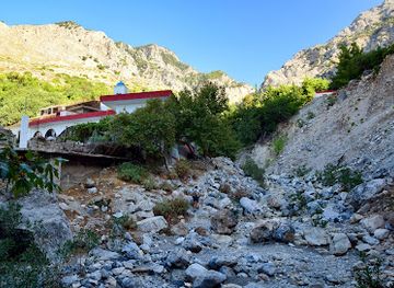 greece/crete/attraction/rouvas-forest