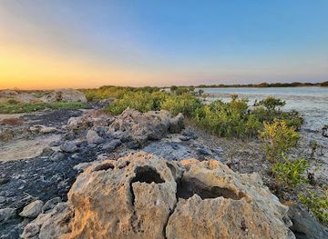 qatar/al-jassasiya-rock-carvings/attraction/al-mafjar-beach