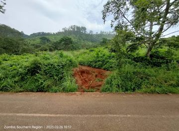 malawi/zomba/attraction/ndisale-trail