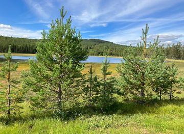 sweden/stoten/attraction/salenringen-tandadalstjarn