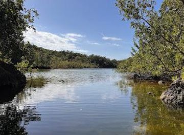 florida/key-largo/attraction/dagny-johnson-key-largo-hammock-botanical-state-park